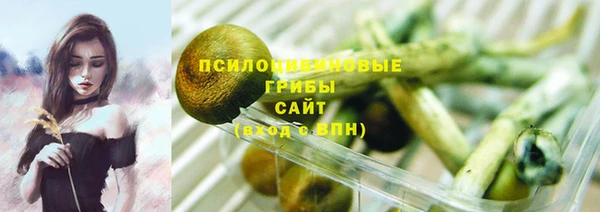 сатива Дмитров