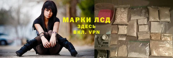 прущие грибы Дмитровск