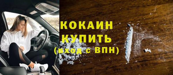 прущие грибы Дмитровск