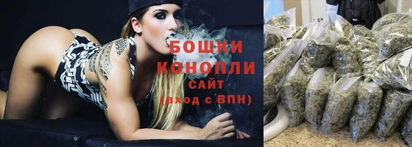 прущие грибы Дмитровск