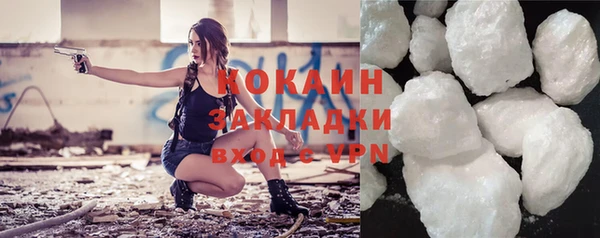 прущие грибы Дмитровск